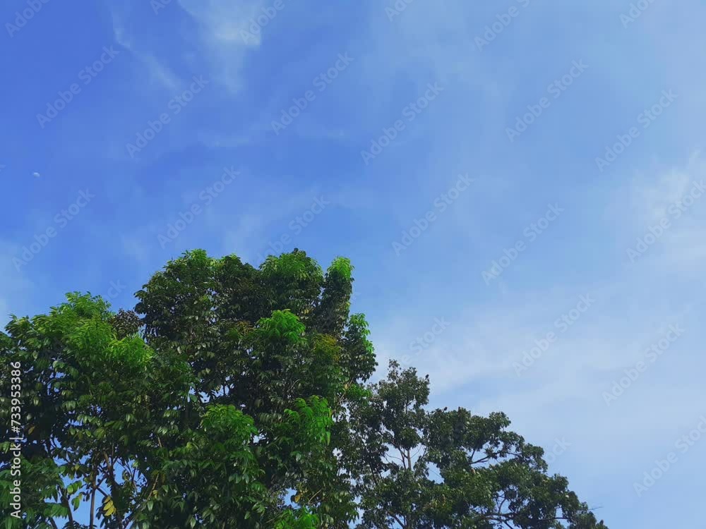 HD seamless looping animation of Beautiful time-lapse of clouds drifting over lush trees under a clear blue sky HD seamless looping animation of Beautiful time-lapse of clouds drifting over lush trees under a clear blue sky