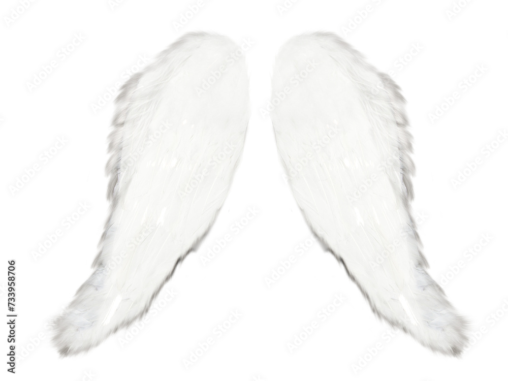 Angel wing. White wing on transparent background, Magic wings isolated ...