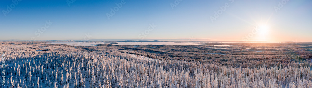 Winter landscape at sunset in Finnish Lapland. Cold winter with lot of snow and blue sky. Spruce trees covered by snow