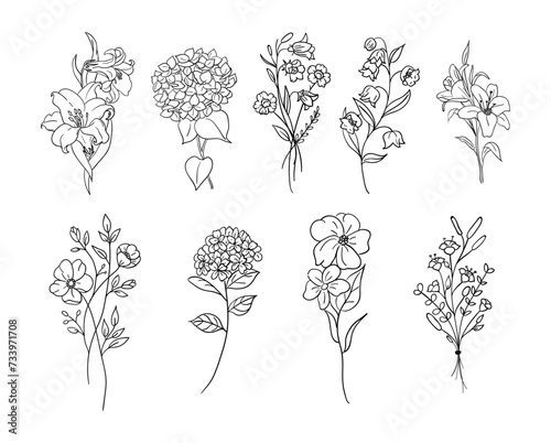 Flower Set Doodle vector