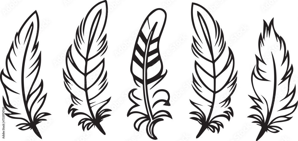 black and white feathers, Outline feathers set black and white feathers, Outline feathers set