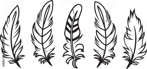 black and white feathers, Outline feathers set