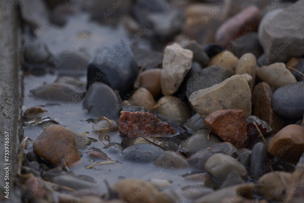 Macro of pile of multicoloured rocks with small puddle