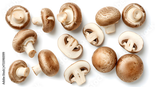 Set of fresh whole and sliced champignon mushrooms isolated on white background. Top view