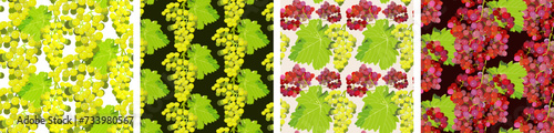Pattern with bunches of grapes. Vector illustration. Grape pattern.