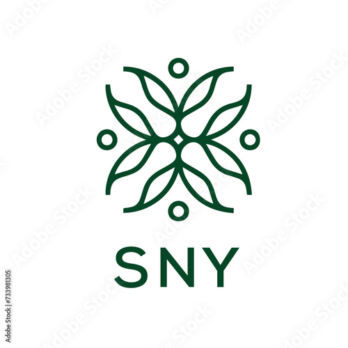 SNY  logo design template vector. SNY Business abstract connection vector logo. SNY icon circle logotype.
