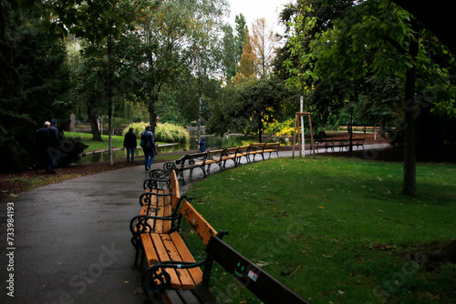 Fototapeta Naklejka Na Ścianę i Meble -  bench in the park