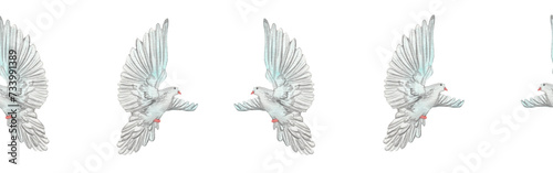 Watercolor birds flying pigeons border. Birds seamless border. Hand painted illustration in natural colors on white backround.
