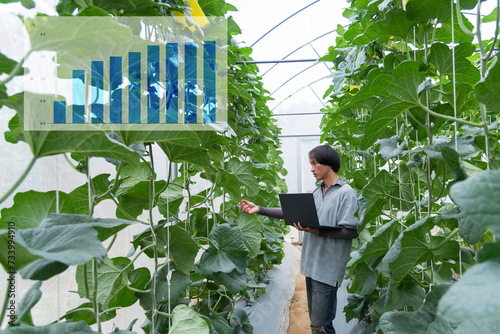 Young asian farmer working in greenhouse with laptop and checking quality of melon photo