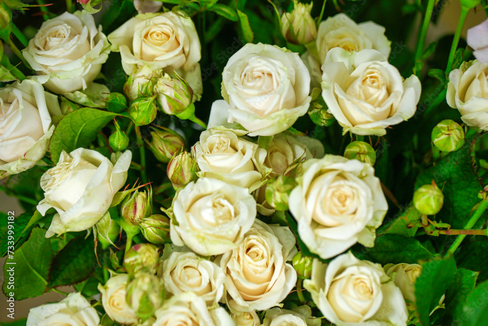 Elegant White Roses With Green Leaves