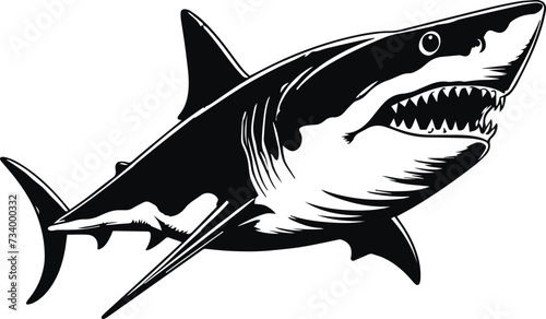 Shark, angry shark, megalodon, Vector Illustration