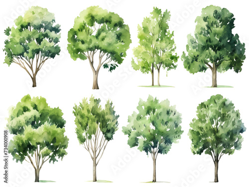 Set of Watercolor trees collection on white or transparent background