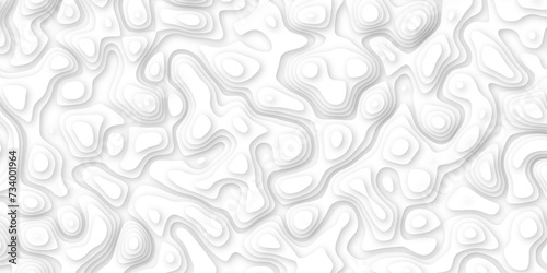 white paper and relief wave and cruve line paper cut background. soft white color seamless pattern, vector illustration, multi layer cutout banner design. topo counter map in 3d view.