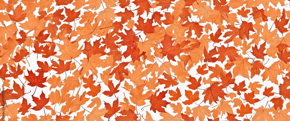 Autumn Maple Leaves Cutout on Transparent Background, PNG File Autumn Maple Leaves Cutout on Transparent Background, PNG File