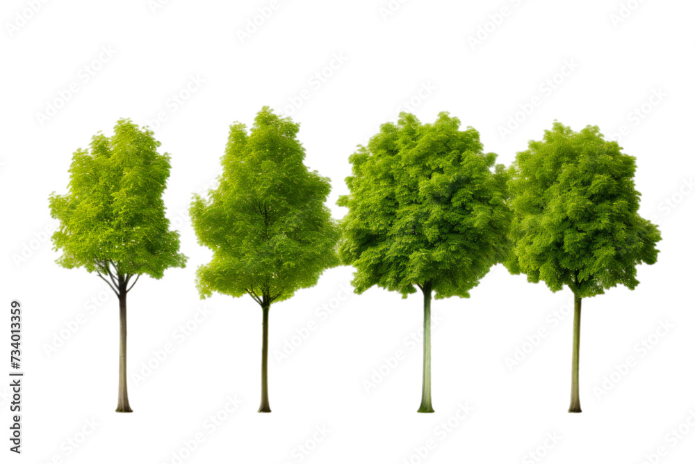 green tree isolated on white png green tree isolated on white png