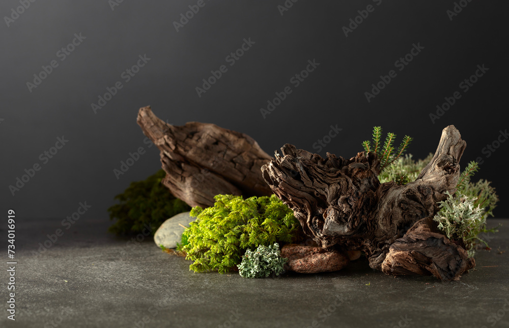 Northern natural composition with lichen, moss, branches and driftwood. Northern natural composition with lichen, moss, branches and driftwood.