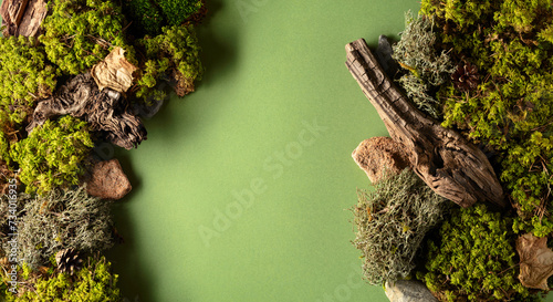Abstract north nature scene with a composition of lichen, moss, and old snags on a green background. © Igor Normann