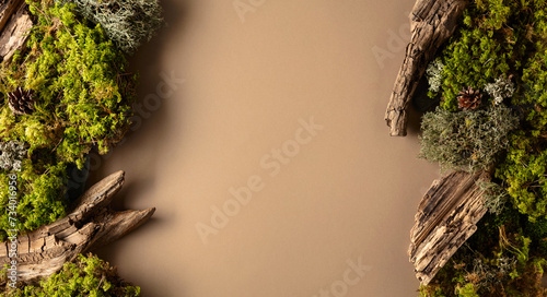 Abstract north nature scene with a composition of lichen, moss, and old snags on a beige background. © Igor Normann