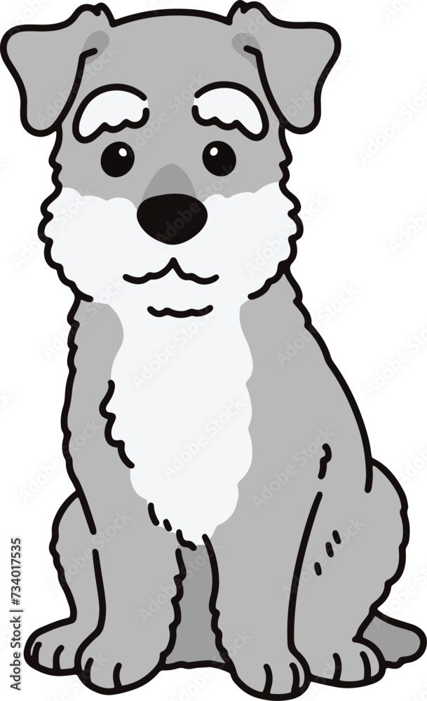 Simple and cute illustration of Miniature Schnauzer sitting in front view Simple and cute illustration of Miniature Schnauzer sitting in front view