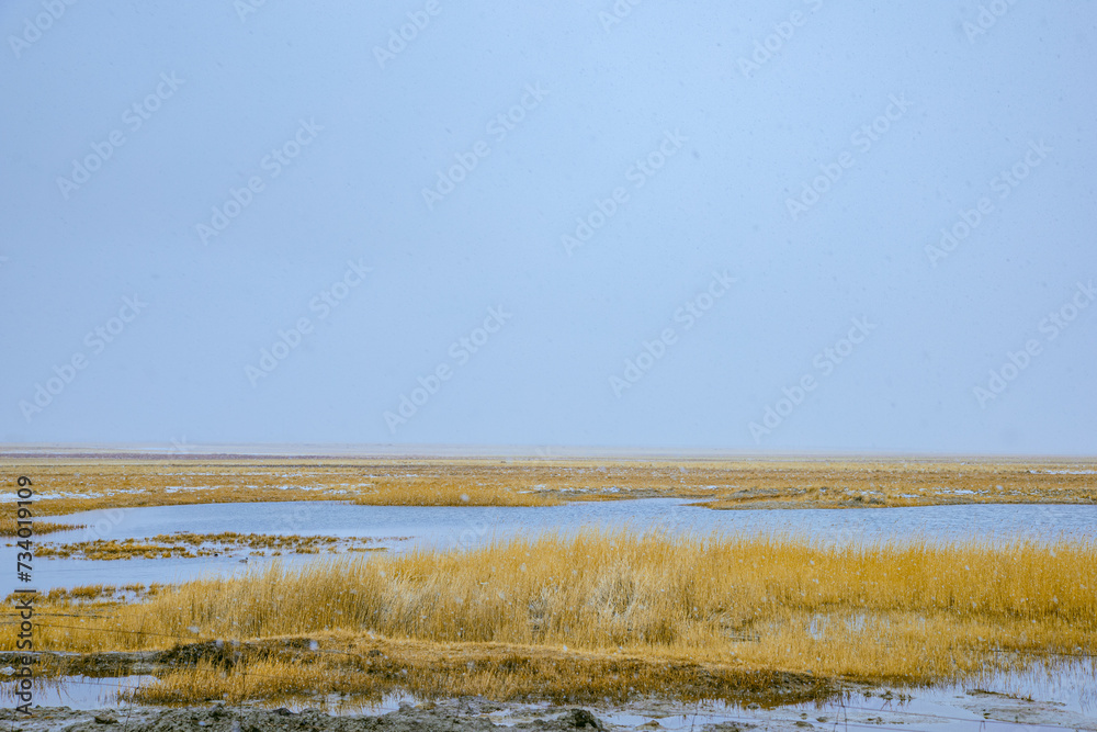 Hainan Mongolian and Tibetan Autonomous Prefecture, Qinghai Province-Plateau meadow scenery in winter