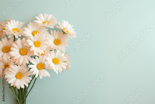 Aerial shot of a bouquet of daisies against a muted pastel backdrop, perfect for adding text.