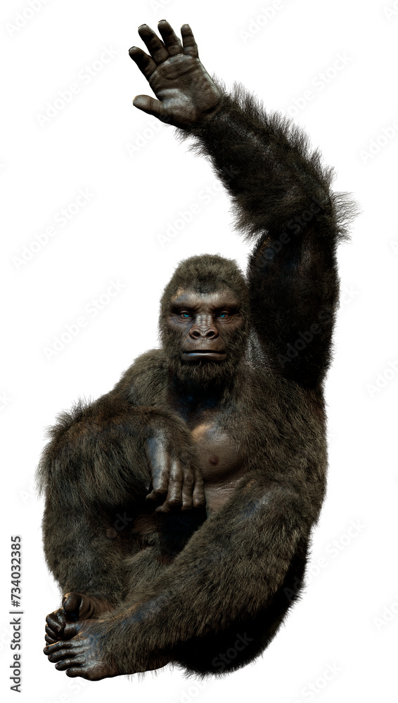 3D Rendering Black Gorilla Ape on White 3D Rendering Black Gorilla Ape on White
