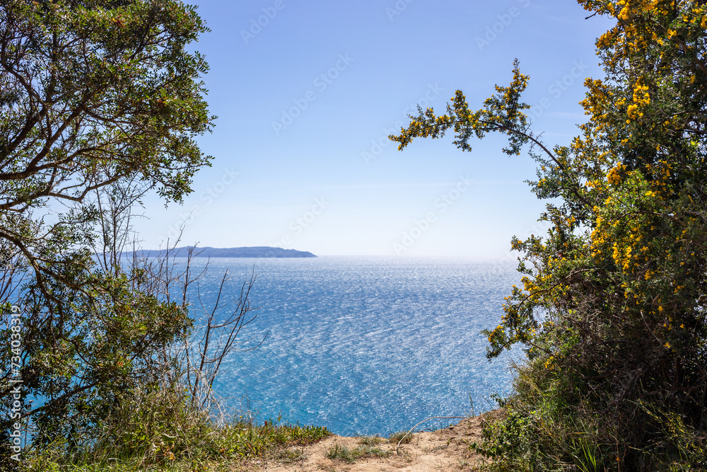 View of Mediterranean sea in forest window 