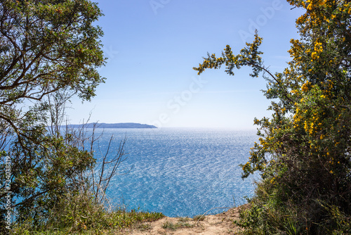 View of Mediterranean sea in forest window 