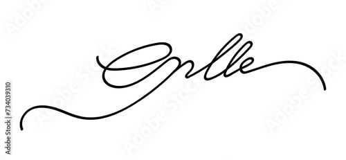 Autograph fictitious handwritten signature. A fake scribbled signature for documents, business certificates, letters, or contracts with handwritten lettering isolated on the transparent background. photo