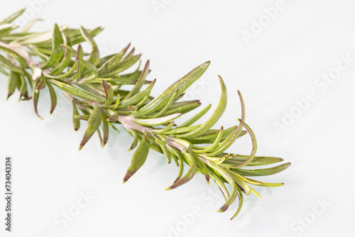 Close-up of a sprig of fresh rosemary isolated on a white background.