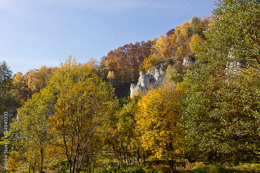 Autumn landscape. A rock in an autumn forest Autumn landscape. A rock in an autumn forest