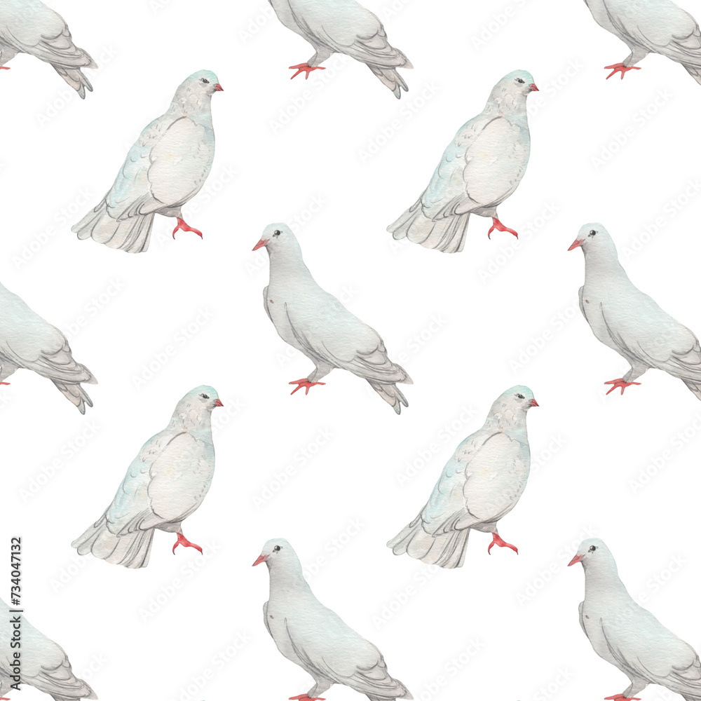 Watercolor birds flying pigeons paattern. Birds print. Hand painted illustration in natural colors on white backround. Watercolor birds flying pigeons paattern. Birds print. Hand painted illustration in natural colors on white backround.