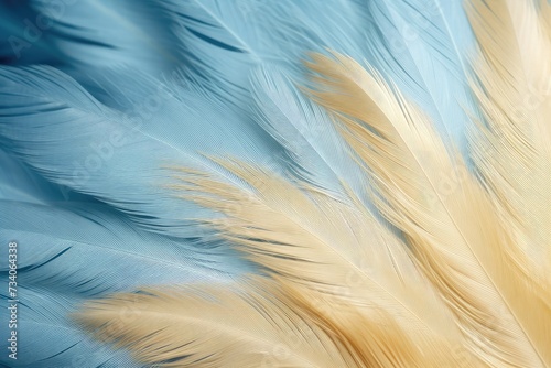 Beautiful closeup feather background in light blue and gold colors. Macro texture of colorful fluffy feathers from tropical bird. Minimal abstract pattern with copy space photo