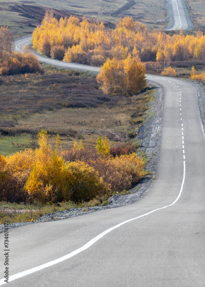 curved road through yellow forest and hills in autumn

