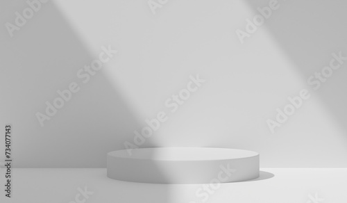 pedestal abstract white studio background with leaves natural shadows for product presentation. luxury summer architecture interior aesthetic. pedestal copy space presentation business.3d render