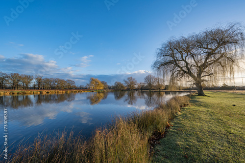 Fototapeta Naklejka Na Ścianę i Meble -  Morning sky reflection over pond