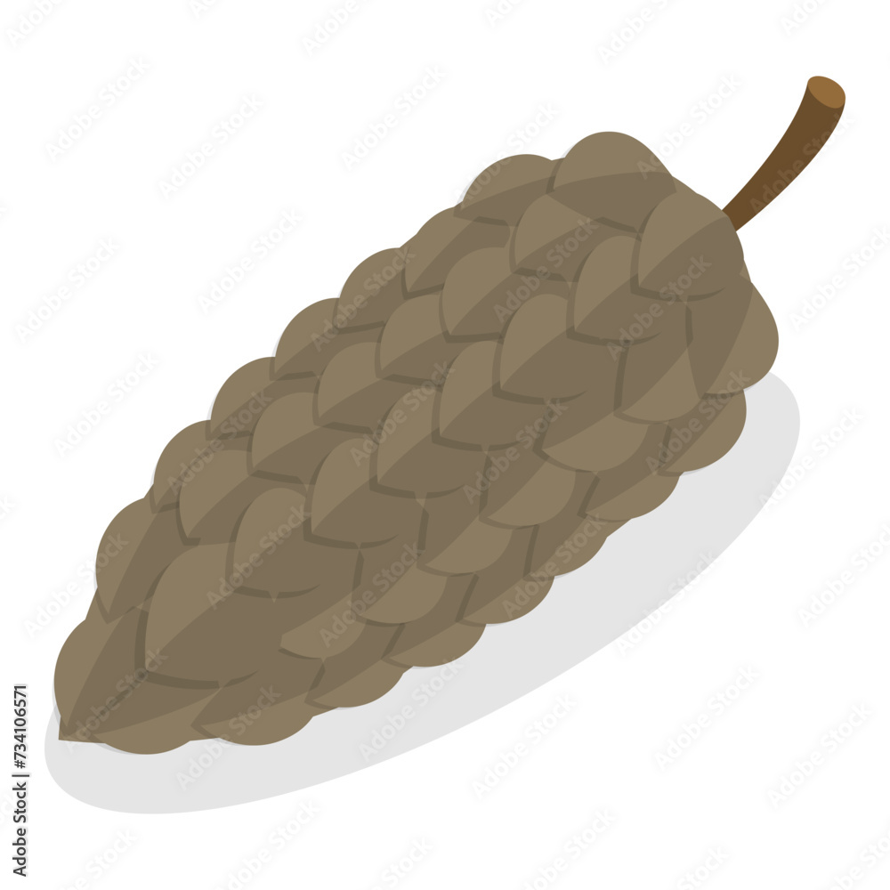 3D Isometric Flat Vector Set of Acorns And Cones, Natural Objects. Item 4 3D Isometric Flat Vector Set of Acorns And Cones, Natural Objects. Item 4