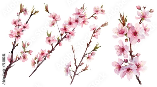 A bunch of pink flowers on a branch. Perfect for floral arrangements and nature-themed designs