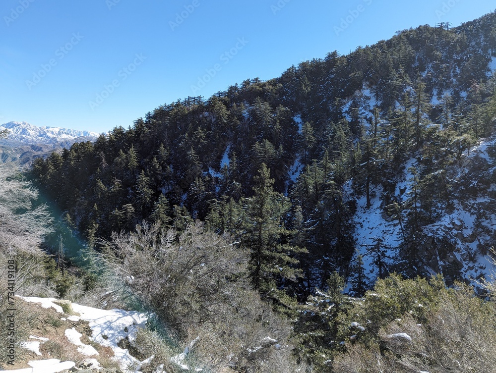 Snow-covered landscape from the Angeles National Forest Snow-covered landscape from the Angeles National Forest