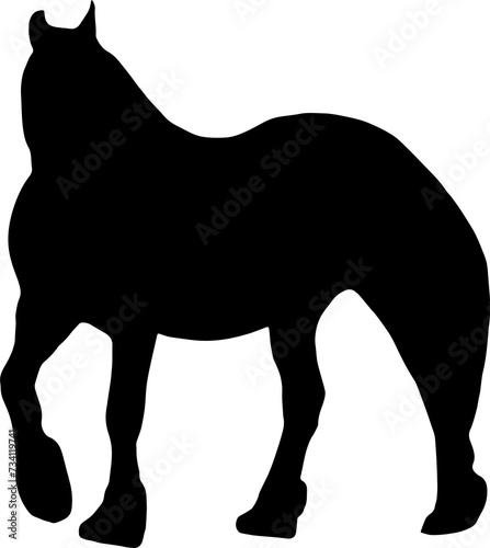 Horse Silhouette Vector Illustration. Wild Horse racing PNG on transparent background