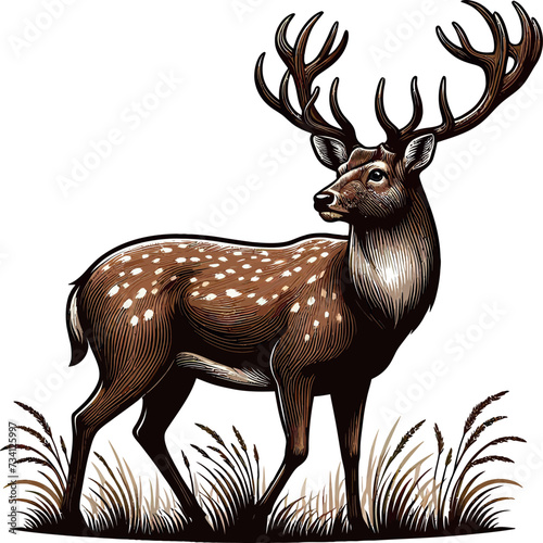 a deer with big horn, vector illustration isolated on a transparent background