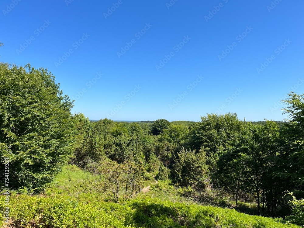 landscape with trees and sky landscape with trees and sky