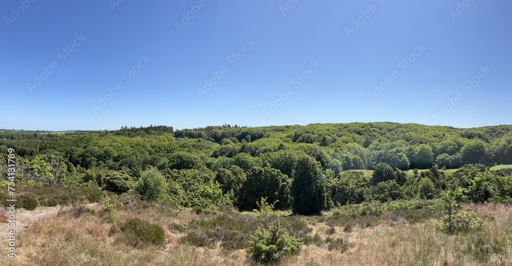 landscape with trees and blue sky landscape with trees and blue sky