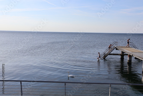 Canvas Print Pier with swimming people and a swan in Malmö, Sweden