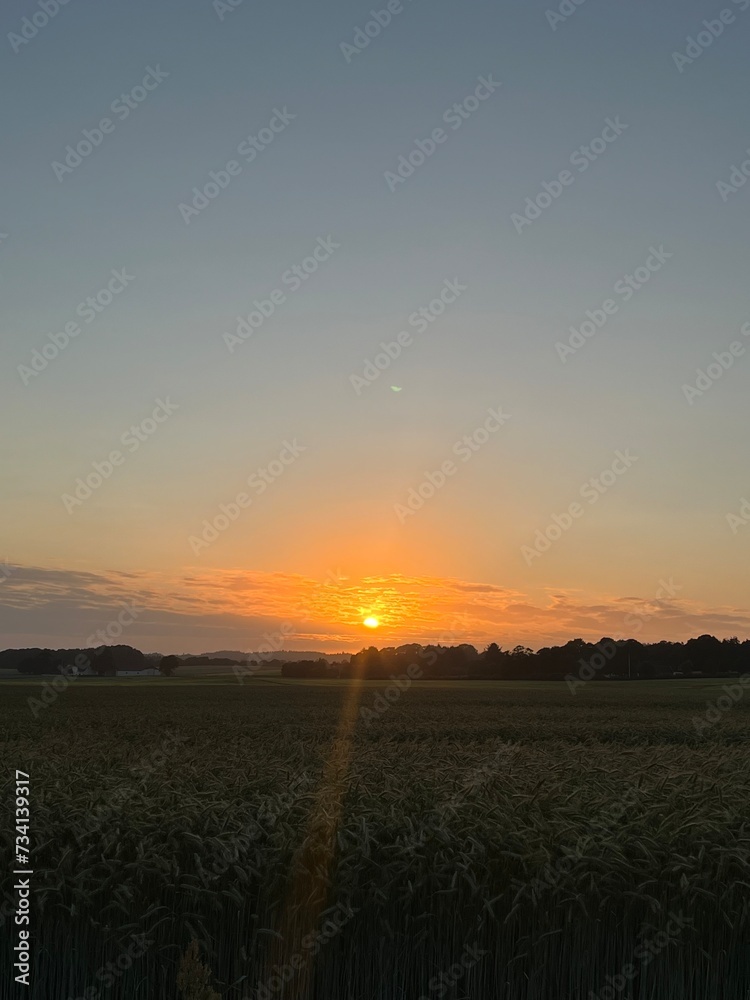 sunset over the field sunset over the field