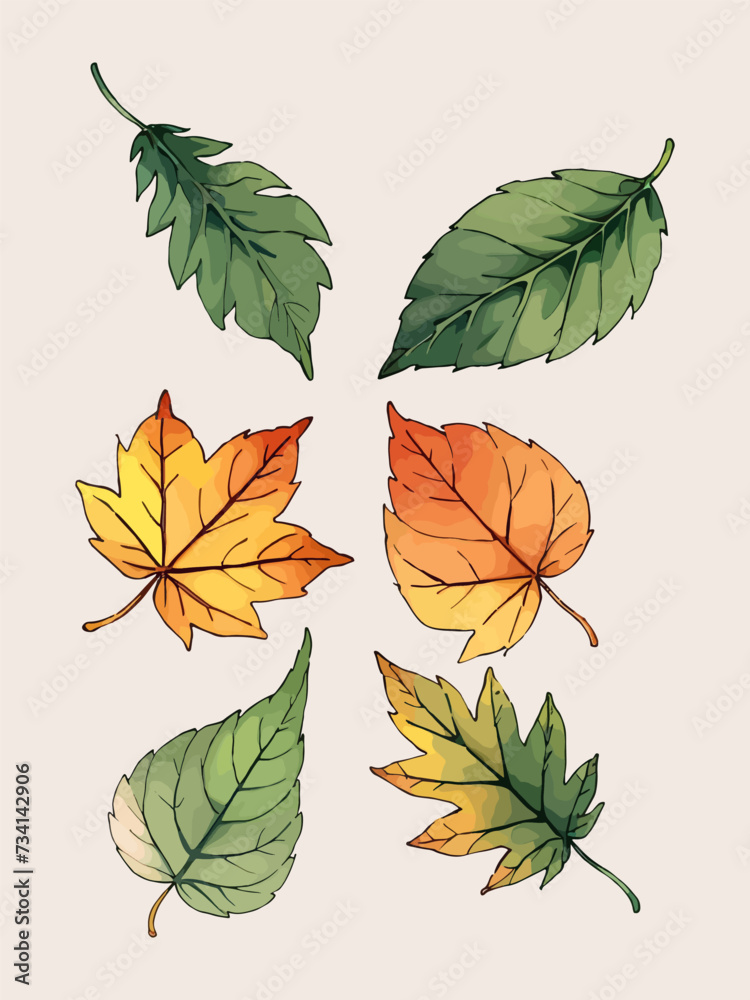 Fototapeta premium Leaves vector watercolor leaves leaf vector