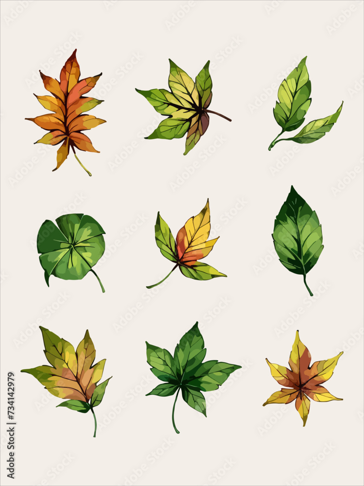 Fototapeta premium Leaves vector watercolor leaves leaf vector