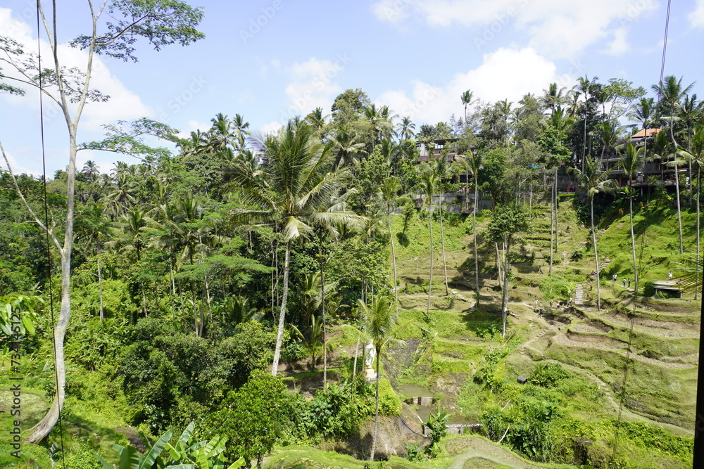 Uma Ceking - Bali