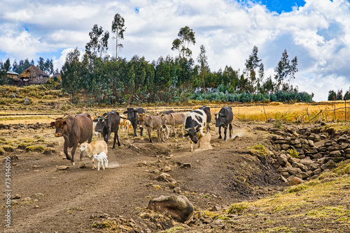Landwirtschaft in Äthiopien