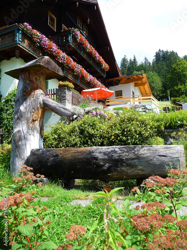 Vor einem Salzburger Almhaus steht ein rustikaler Brunnen aus knorrigen Baumstämmen. photo